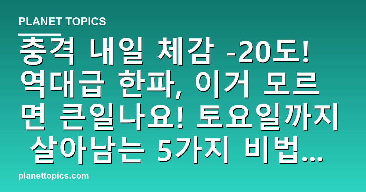 충격 내일 체감 -20도! 역대급 한파, 이거 모르면 큰일나요! 토요일까지 살아남는 대표 이미지