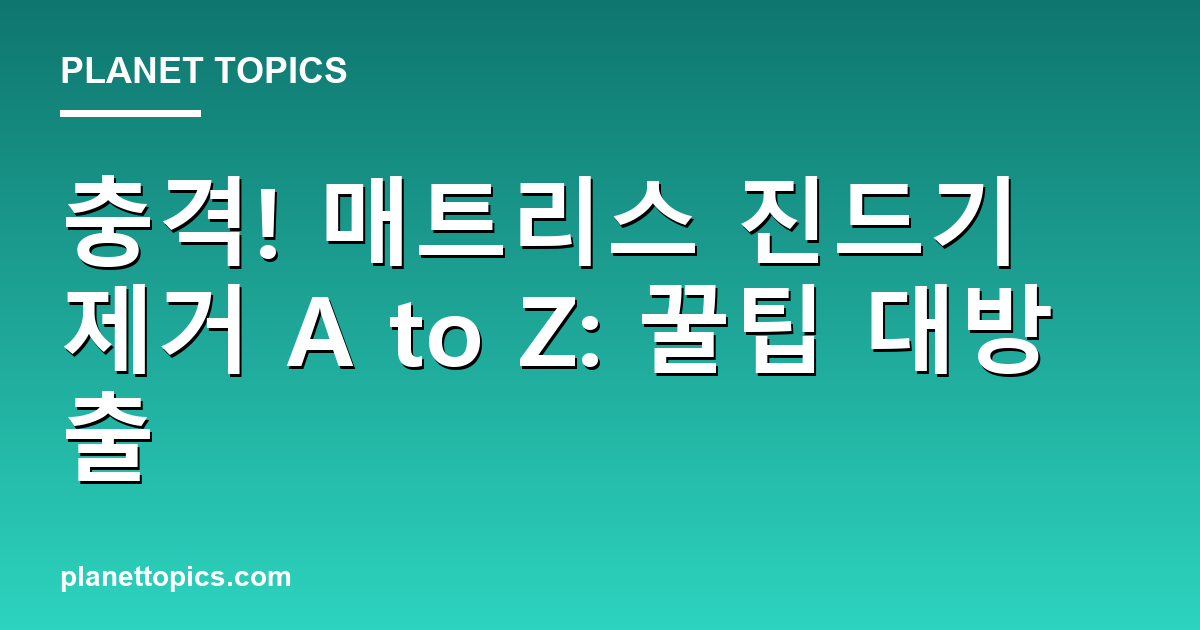 충격! 매트리스 진드기 제거 A to Z: 꿀팁 대방출 대표 이미지