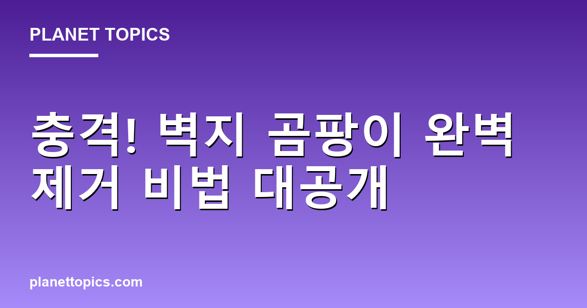 충격! 벽지 곰팡이 완벽 제거 비법 대공개 대표 이미지