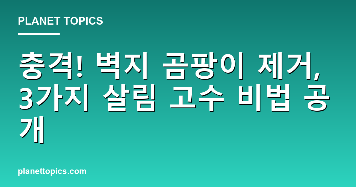 충격! 벽지 곰팡이 제거, 3가지 살림 고수 비법 공개 Featured Image