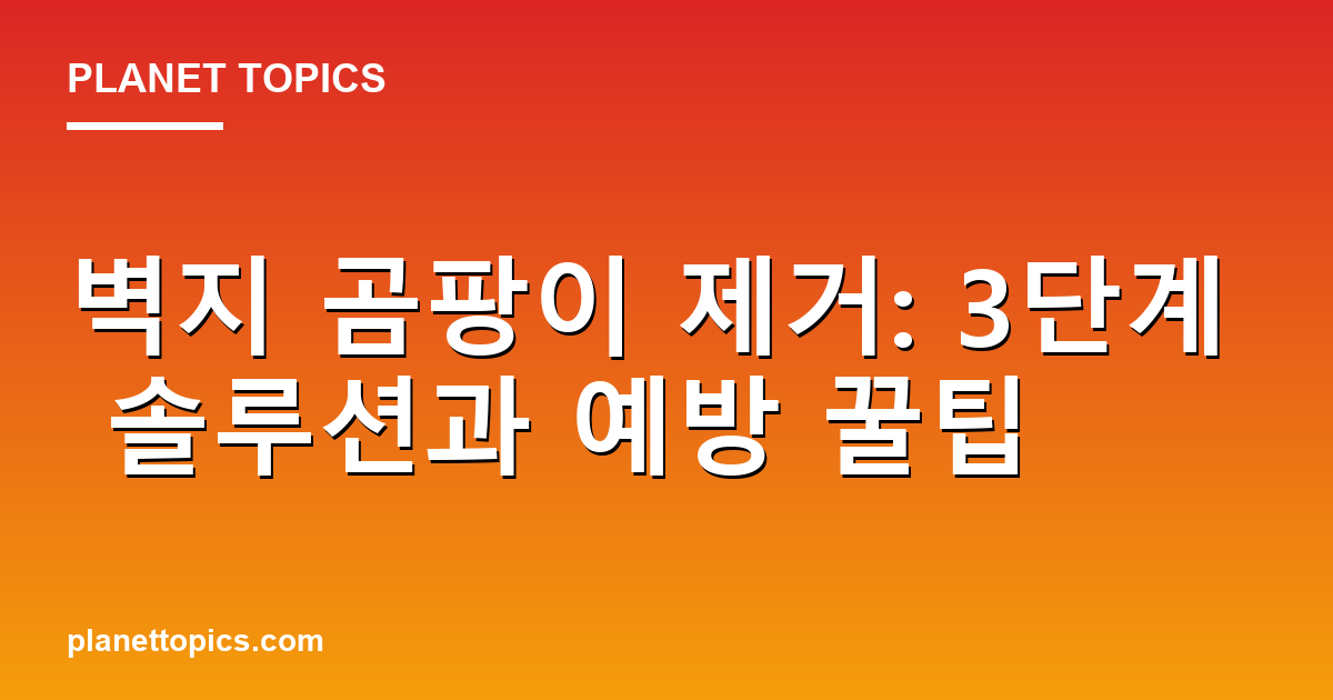 벽지 곰팡이 제거 핵심 내용 요약 이미지